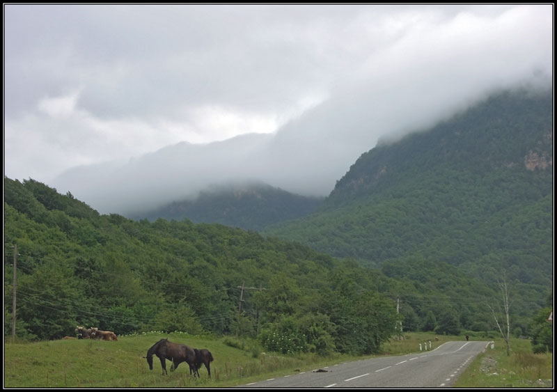 фото "Кони, горы, облака" метки: пейзаж, горы, лето