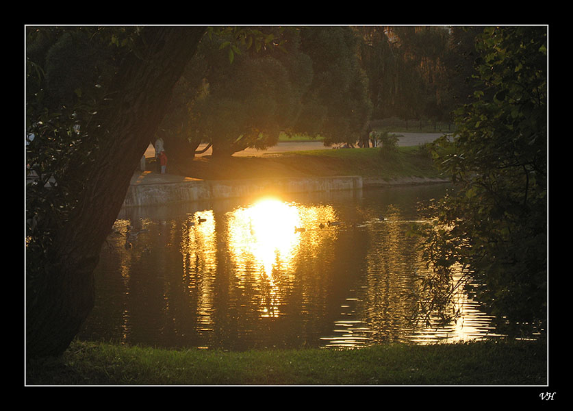 photo "Take out sun from the water" tags: landscape, water