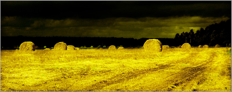 photo "***" tags: landscape, 