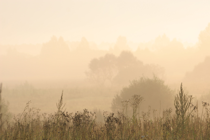 photo "***" tags: landscape, sunset