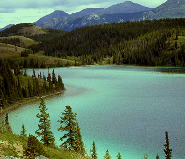 фото "Изумрудное озеро" метки: путешествия, Северная Америка
