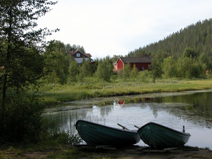 photo "Two" tags: landscape, forest, water