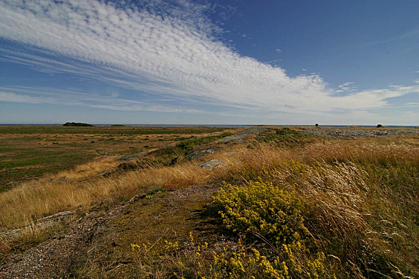 photo "Sky and land" tags: landscape, clouds, summer