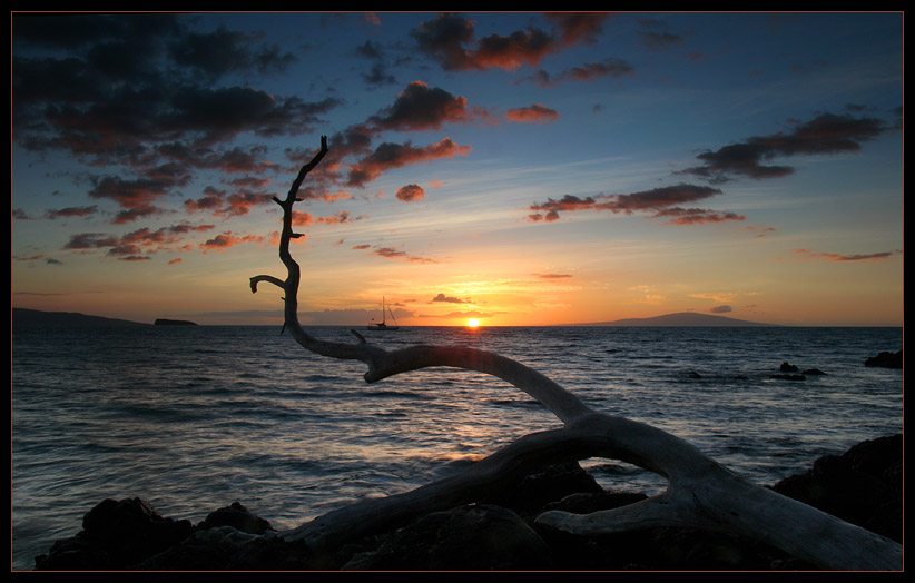 photo "Sunset with a stick" tags: landscape, sunset, water