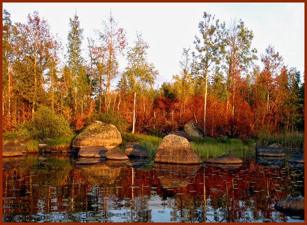 фото "Золотая осень" метки: пейзаж, вода, лес