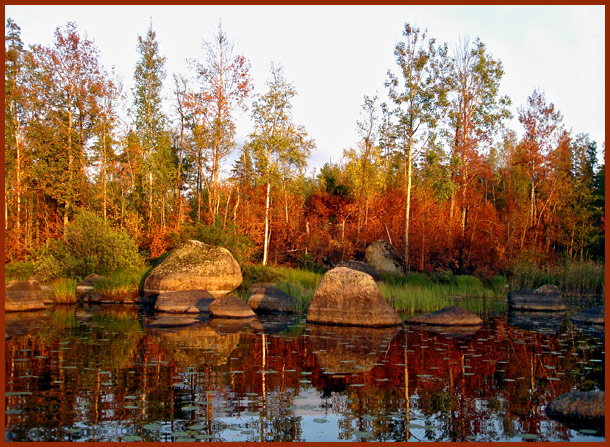 photo "Mellow autumn" tags: landscape, forest, water