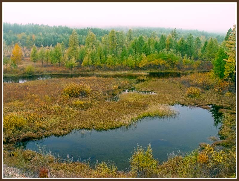 photo "The lake" tags: landscape, water