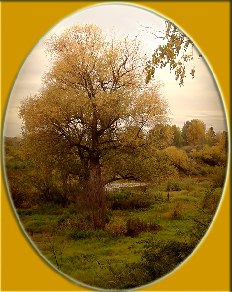 photo "I play Photoshop" tags: landscape, autumn