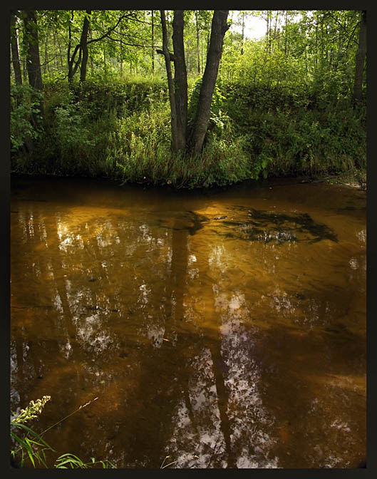 фото "Оттенки лета" метки: пейзаж, вода, лето