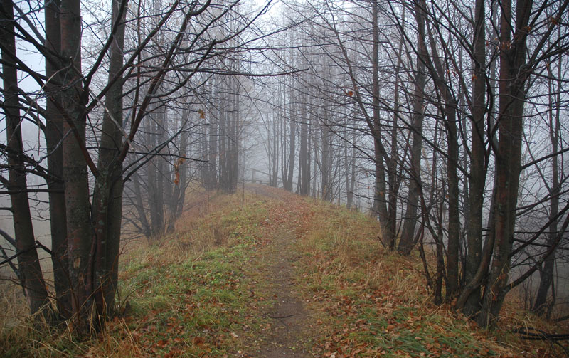 photo "***" tags: landscape, nature, autumn