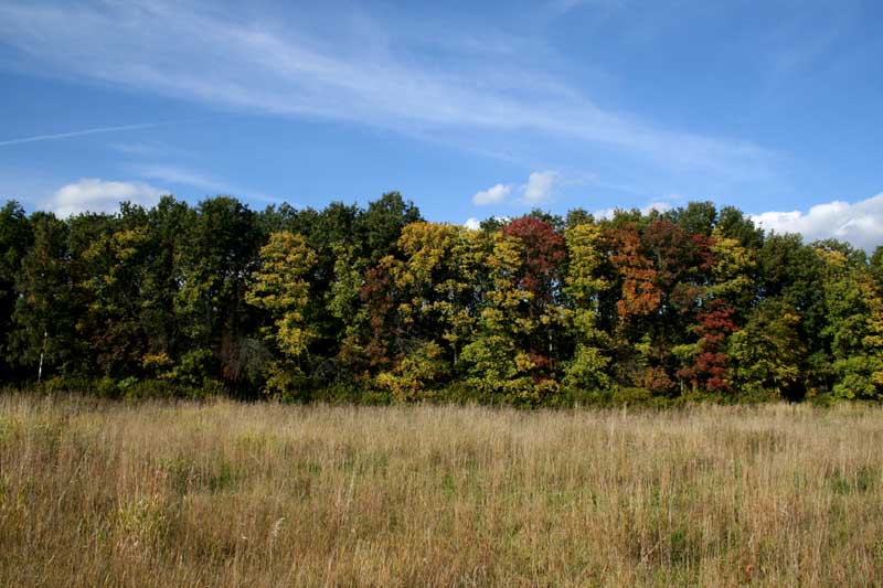 photo "***" tags: landscape, autumn