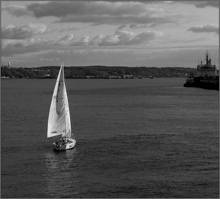 photo "Sailing away." tags: misc., black&white, 