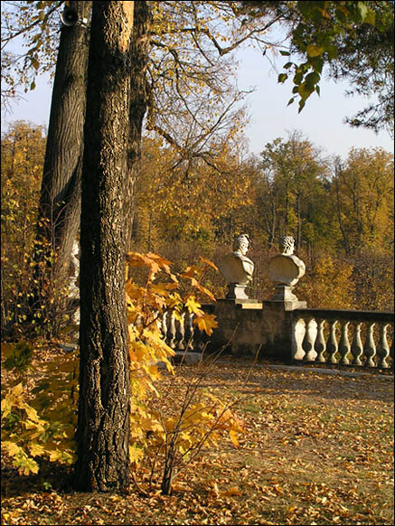 photo "Autumn in Arkhangelskое." tags: landscape, autumn