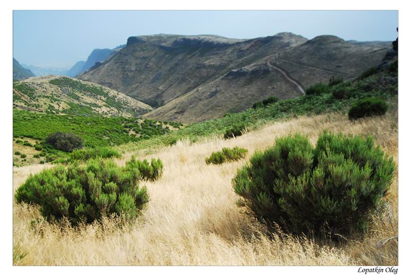 photo "In the hills of Madeira" tags: landscape, travel, 