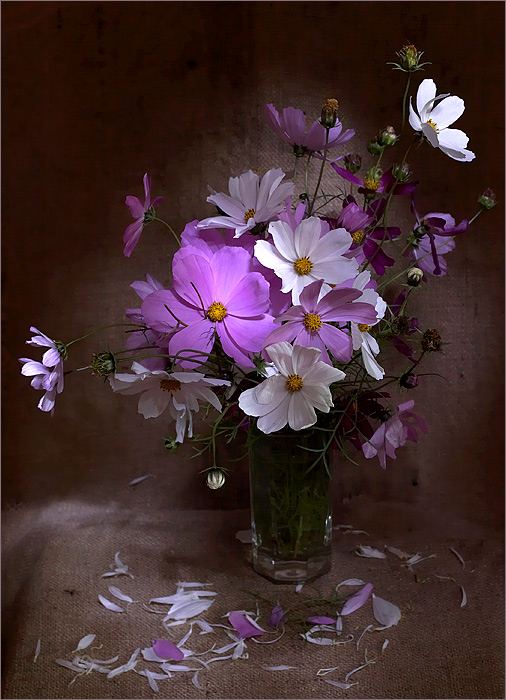 photo "***" tags: still life, nature, flowers