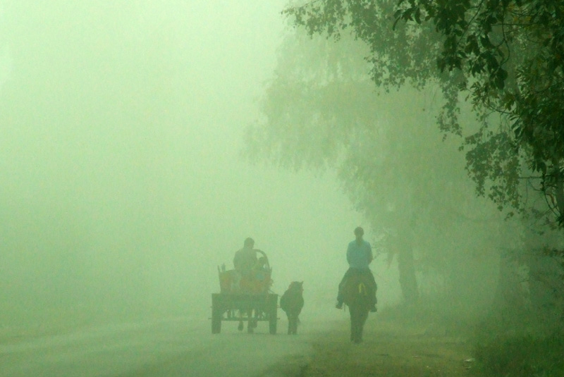 фото "В тумане" метки: пейзаж, осень