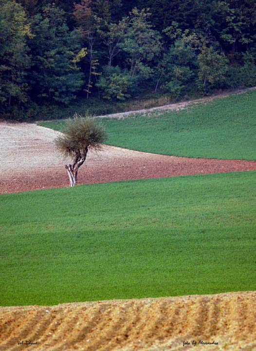 фото "val tidone" метки: пейзаж, горы