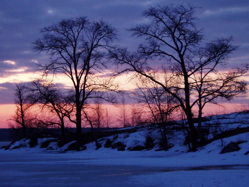 photo "***" tags: landscape, sunset, winter