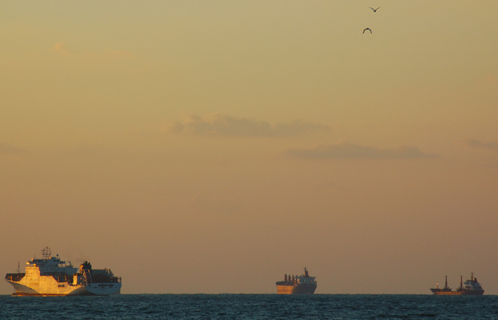 photo "BOATS&BIRDS" tags: landscape, nature, sunset, wild animals