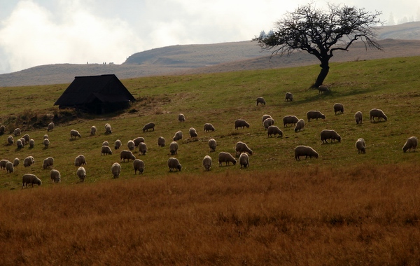 photo "***" tags: landscape, mountains