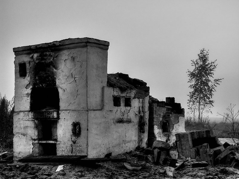 photo "The naked heart of a country log hut" tags: architecture, landscape, autumn