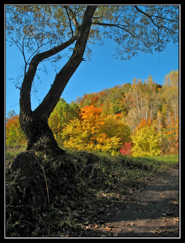 photo "***" tags: landscape, autumn