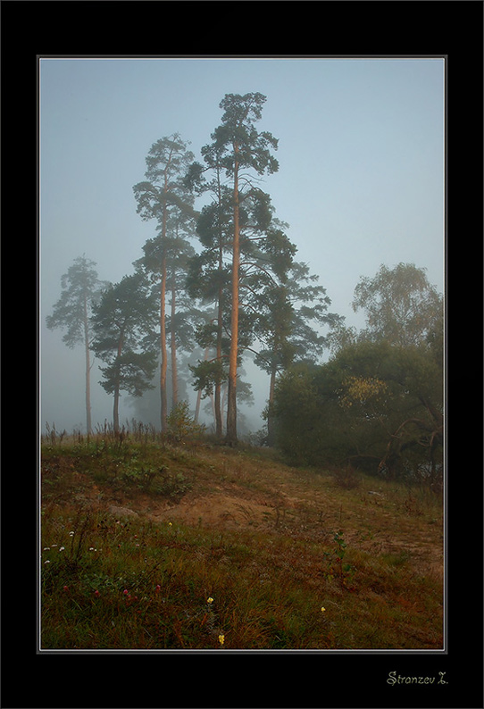 photo "***" tags: landscape, autumn