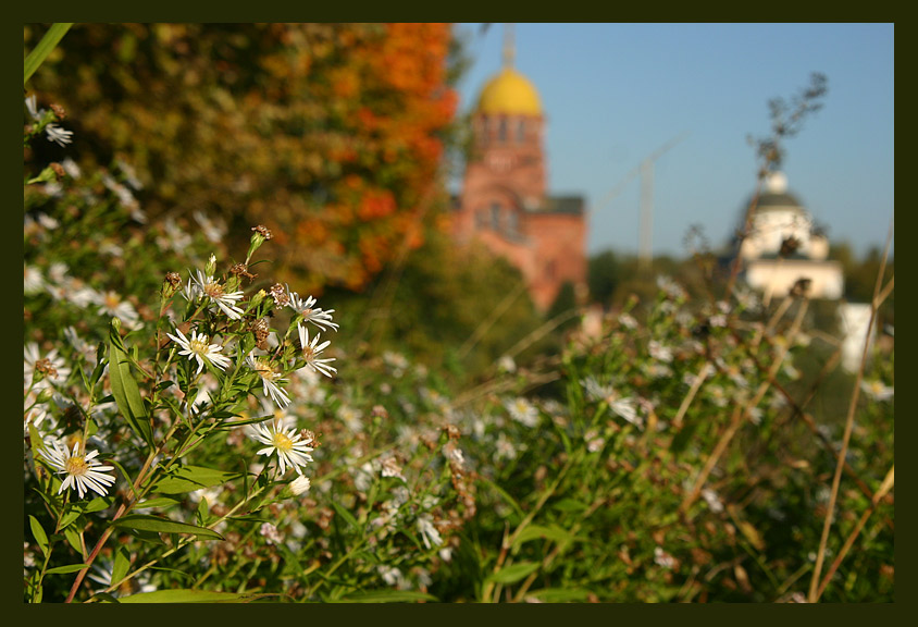 фото "Ромашки на фоне храма в Хотьково" метки: пейзаж, осень