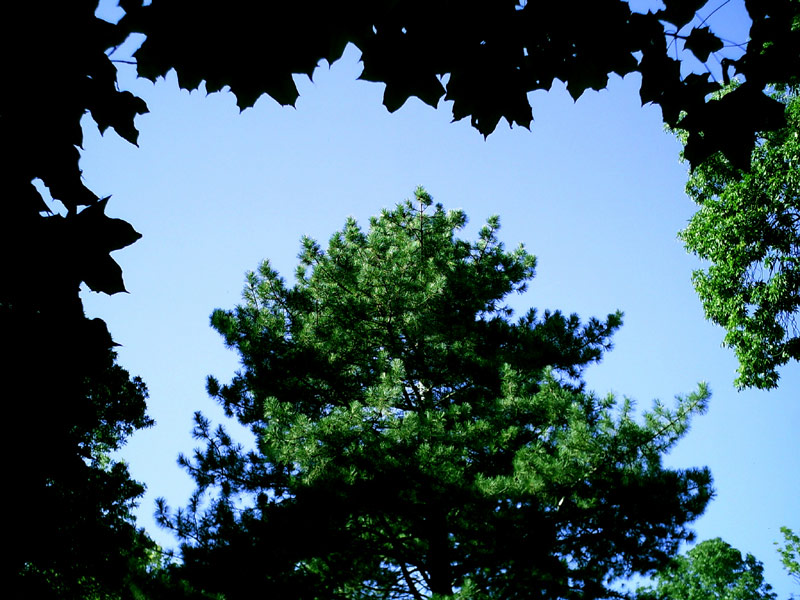 photo "***" tags: landscape, 