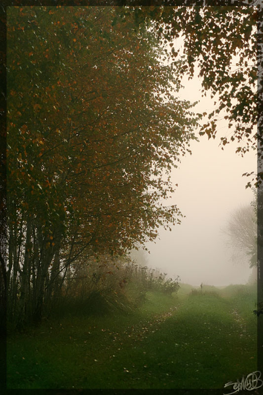 photo "August" tags: landscape, autumn