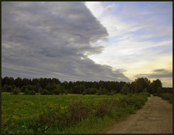 photo "Border of day and night" tags: landscape, clouds, forest