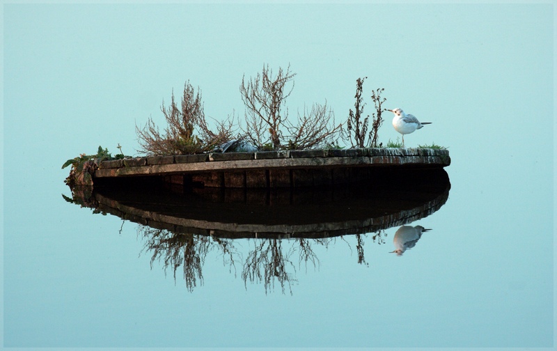 photo "Small island" tags: landscape, genre, water