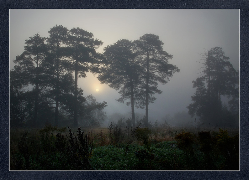 photo "***" tags: landscape, autumn