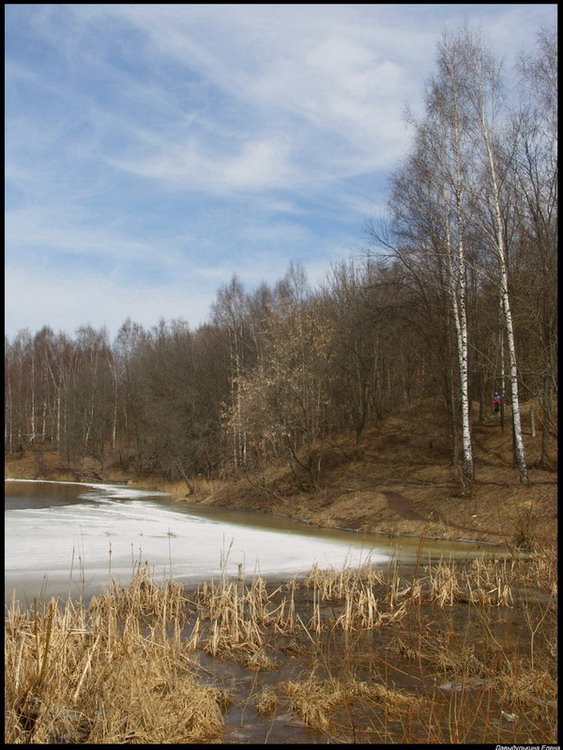 фото "Весна" метки: пейзаж, природа, весна