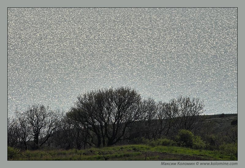 photo "Sea of silver" tags: landscape, spring, water