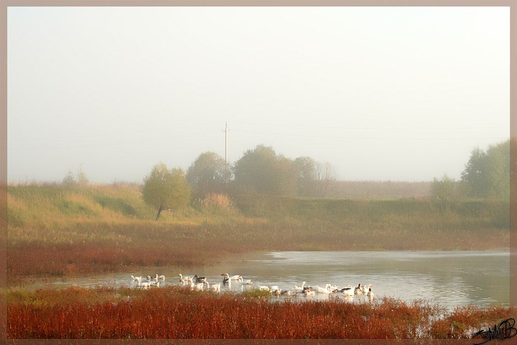 photo "Still morning" tags: landscape, nature, autumn, pets/farm animals