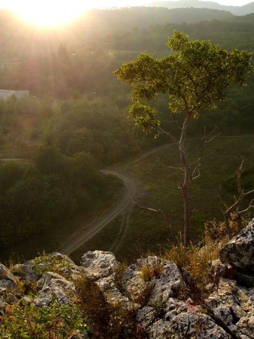 photo "About roads, ways and their supervisors" tags: landscape, mountains, summer