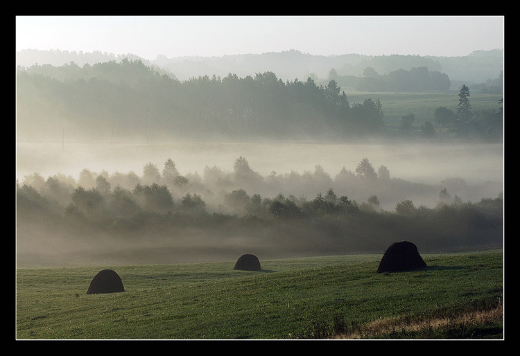 photo "***" tags: landscape, spring