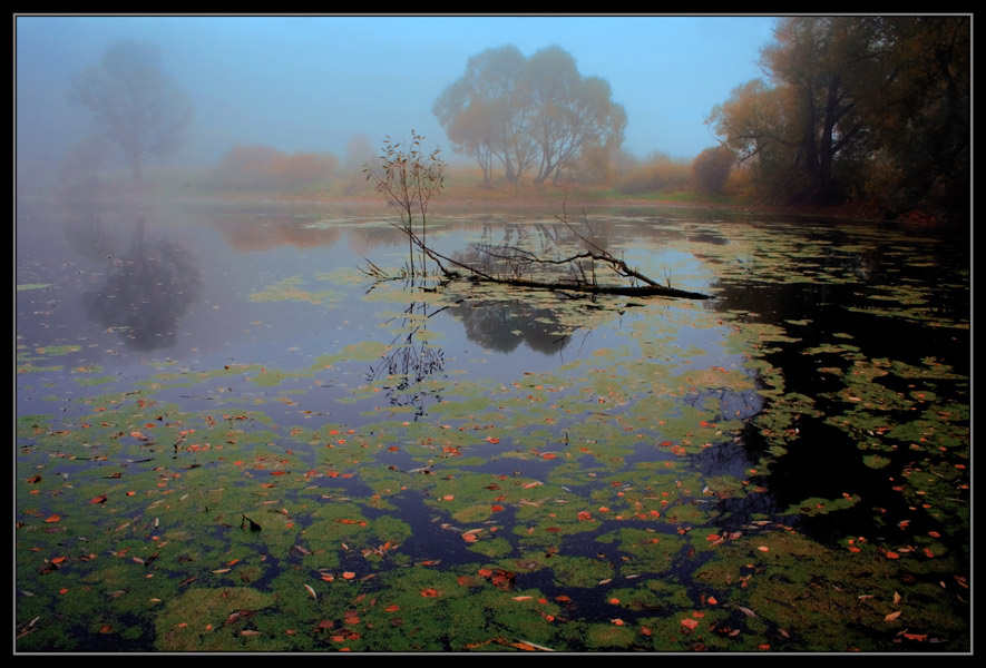 photo "Blue fog" tags: landscape, autumn, water