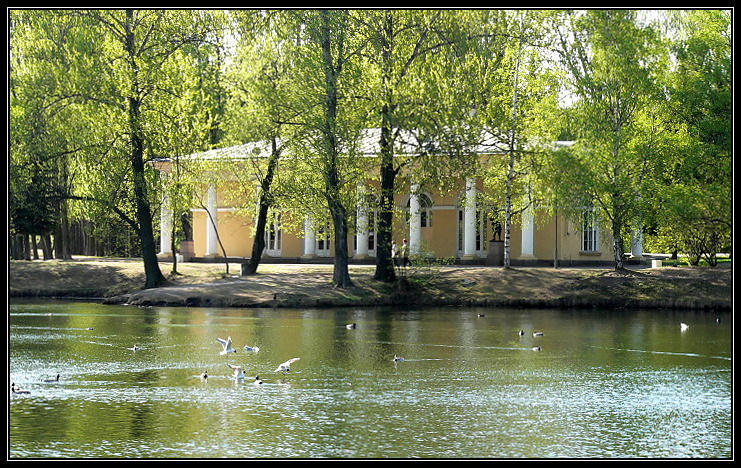 фото "В парке" метки: пейзаж, архитектура, вода