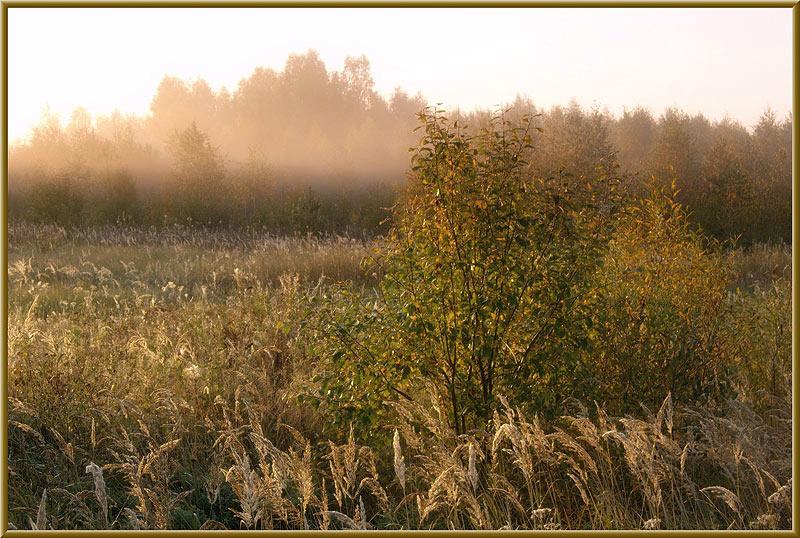 фото "В утренней дымке" метки: пейзаж, закат, осень