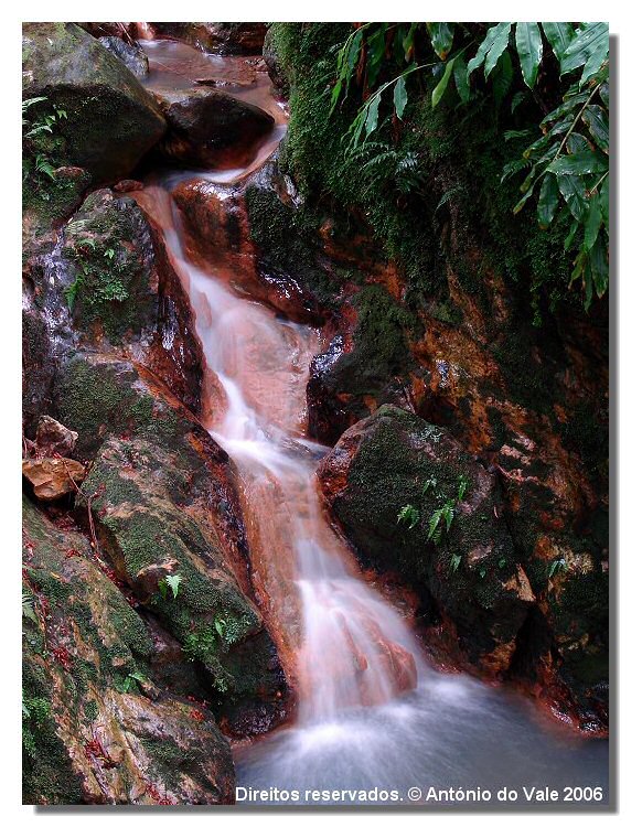 фото "Caldeira Velha" метки: пейзаж, вода, лес