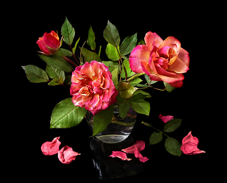 photo "***" tags: still life, nature, flowers