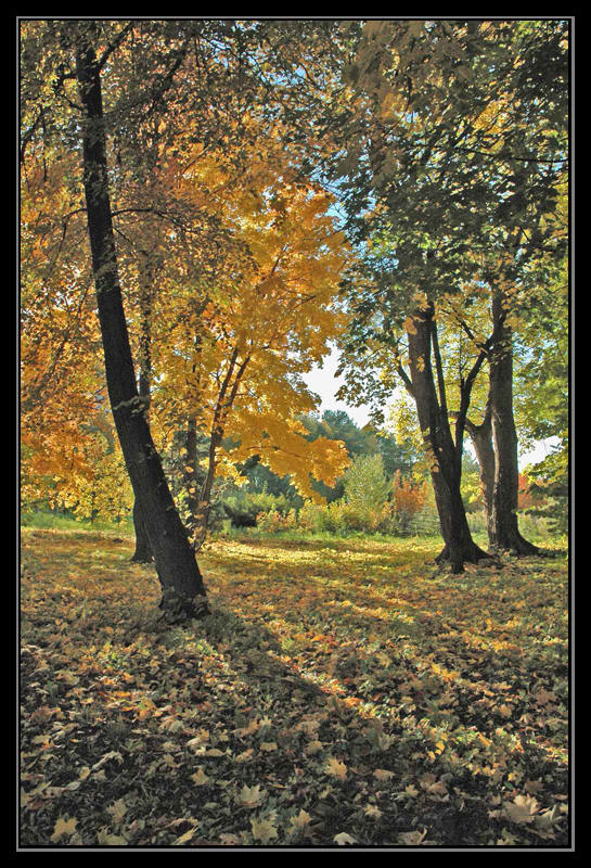 photo "***" tags: landscape, autumn