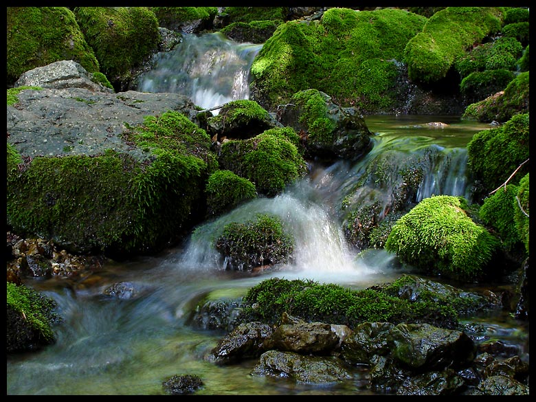 photo "***" tags: nature, landscape, water