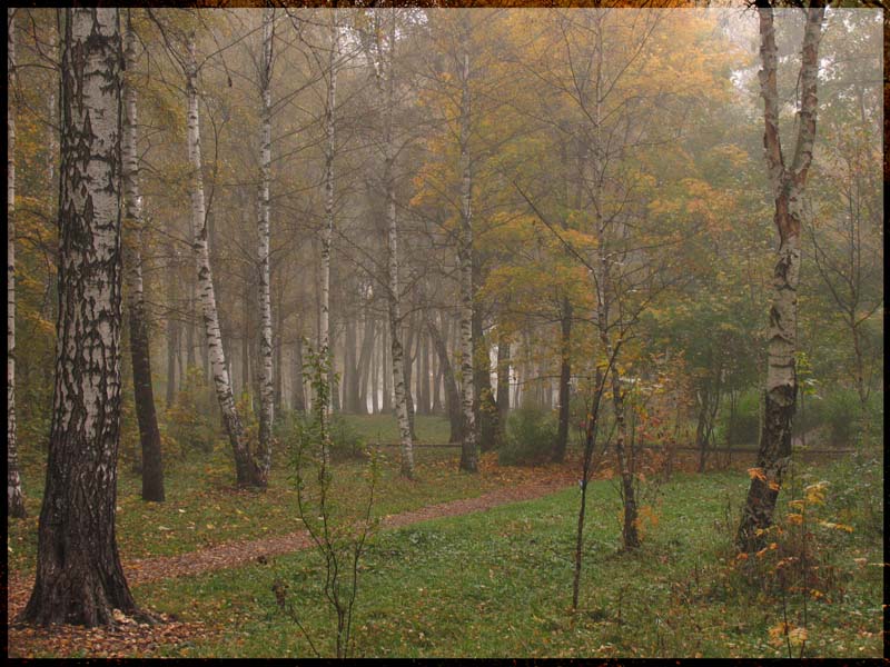 photo "Foggy morning" tags: landscape, autumn