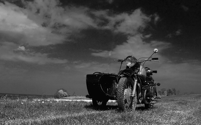 photo "old friend..." tags: black&white, 
