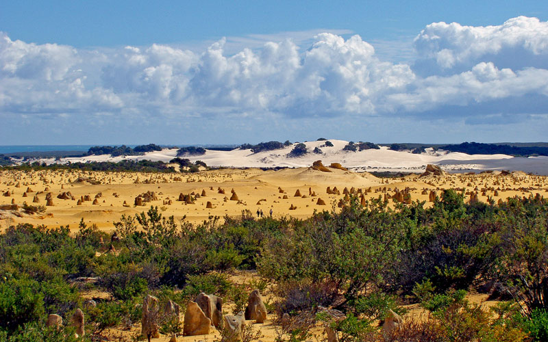 photo "The Pinnacles Desert" tags: landscape, 