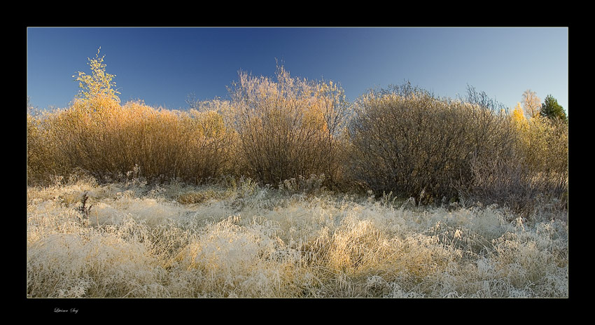 фото "Autumn morning..." метки: пейзаж, осень