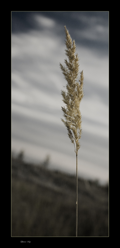 photo "***" tags: landscape, autumn